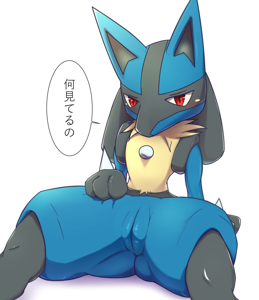 1girls 3_fingers absurd_res anthro arm_support biped black_fur black_markings blue_fur blush canid canine canis dialogue facial_markings female fklow front_view fur fur_markings fur_tuft furry furry_only hand_on_leg hi_res japanese_text looking_at_viewer lucario mammal markings multicolored_fur naked neck_tuft nintendo nude paws pokemon pokemon_(species) presenting presenting_pussy pussy red_eyes shaded simple_background sitting slit_pupils snout soft_shading solo speech_bubble spikes spread_legs spreading sweat sweatdrop text thick_thighs translated tuft video_games white_background yellow_fur