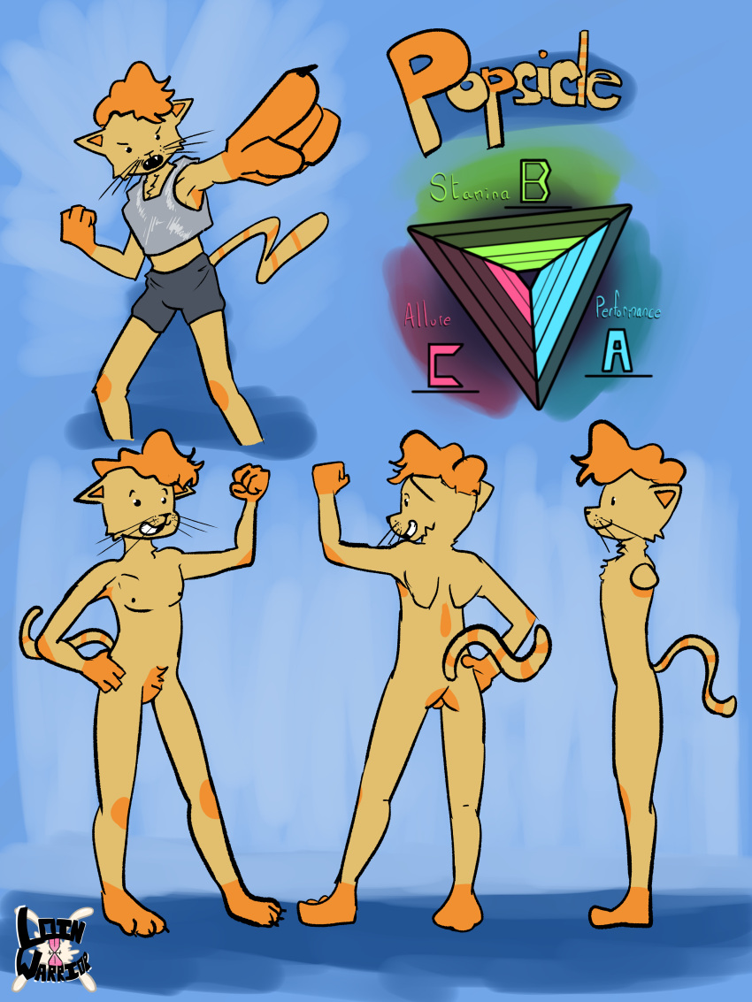 absurd_res anthro armor bottomwear clothing domestic_cat felid feline felis fur hi_res loin_warrior male mammal model_sheet orange_body orange_fur pompadour popsicle_(loin_warrior) shorts solo stats