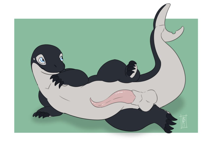 bailey_(disambiguation) bailey_(phintastic) balls cetacean dolphin dragon erection feral genitals hybrid looking_at_viewer male mammal marine mythological_creature mythological_scalie mythology oceanic_dolphin orca palehorntea penis scalie simple_background solo tail toothed_whale