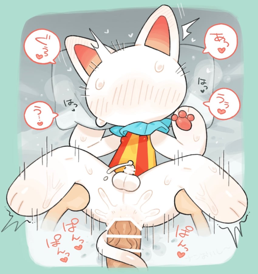 2024 animal_crossing balls blanca_(animal_crossing) bottomless bottomless_male censored censored_genitalia censored_penis clothed clothing domestic_cat erection faceless felid feline felis fur genitals hi_res japanese_description male mammal nan_014ne nintendo rule_63 tail white_body white_fur