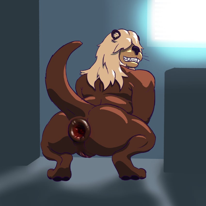 1:1 2024 absurd_res anal andromorph anthro anus ass big_butt blinds blonde_hair brown_anus brown_body brown_fur brown_pussy colored crouching cuntboy digital_drawing_(artwork) digital_media_(artwork) elio_bones feet fur gaping gaping_anus genitals hair hi_res hindpaw intersex long_hair looking_at_viewer loose_anus mammal muscular mustelid nude nude_anthro otter paws presenting presenting_hindquarters puffy_anus pussy raised_tail rear_view sea_otter shaded slightly_chubby slightly_chubby_intersex smile smiling_at_viewer solo tail teeth teeth_showing thick_thighs window