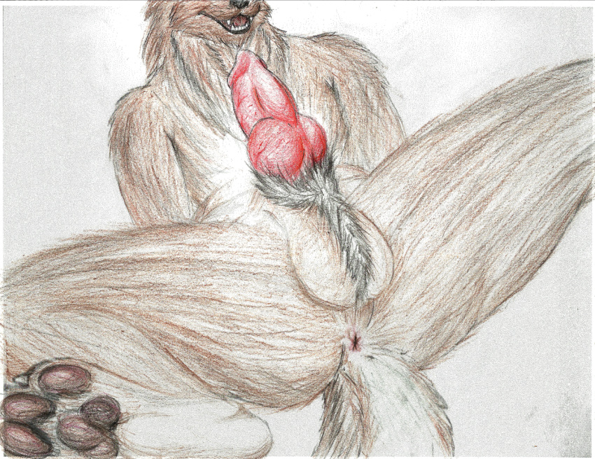 2016 animal_genitalia animal_penis anthro anthro_only anus armpits ass ball_tuft balls black_nose brown_fur canine canine_penis chest_tuft claws colored_pencil erection fur furry grin hairy happy hi_res hindpaw knot lying male male_only mammal no_humans nude on_back open_mouth pawpads paws penis perineum pinup pose presenting presenting_hindquarters pubes red_penis sharp_claws sharp_teeth simple_background smile solo spread_legs spreading tawnyfluff teeth traditional_media_(artwork) tuft were werewolf white_background wolf