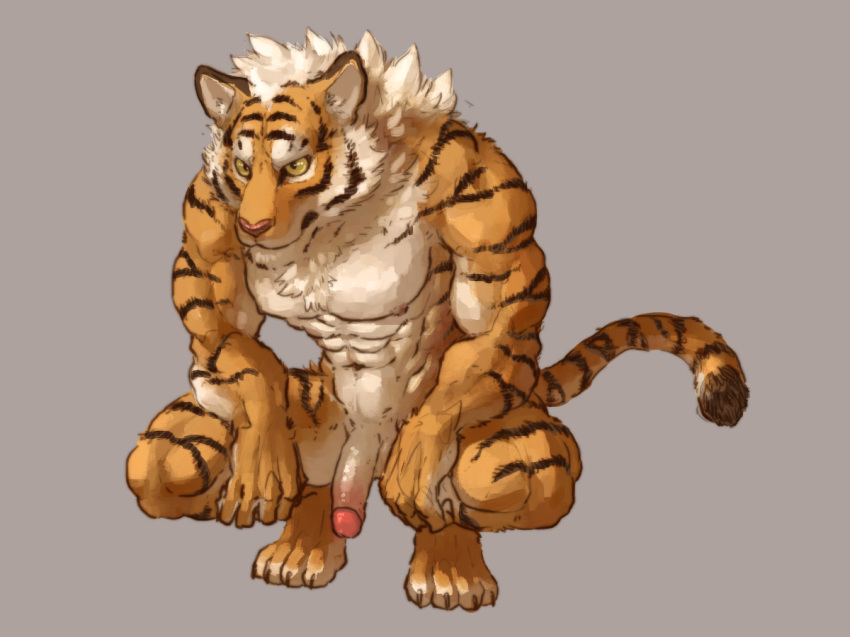 496549736_(artist) abs anthro balls crouching feline fur half-erect male male_only mammal muscular muscular_male nude orange_fur penis retracted_foreskin solo stripes tiger uncut