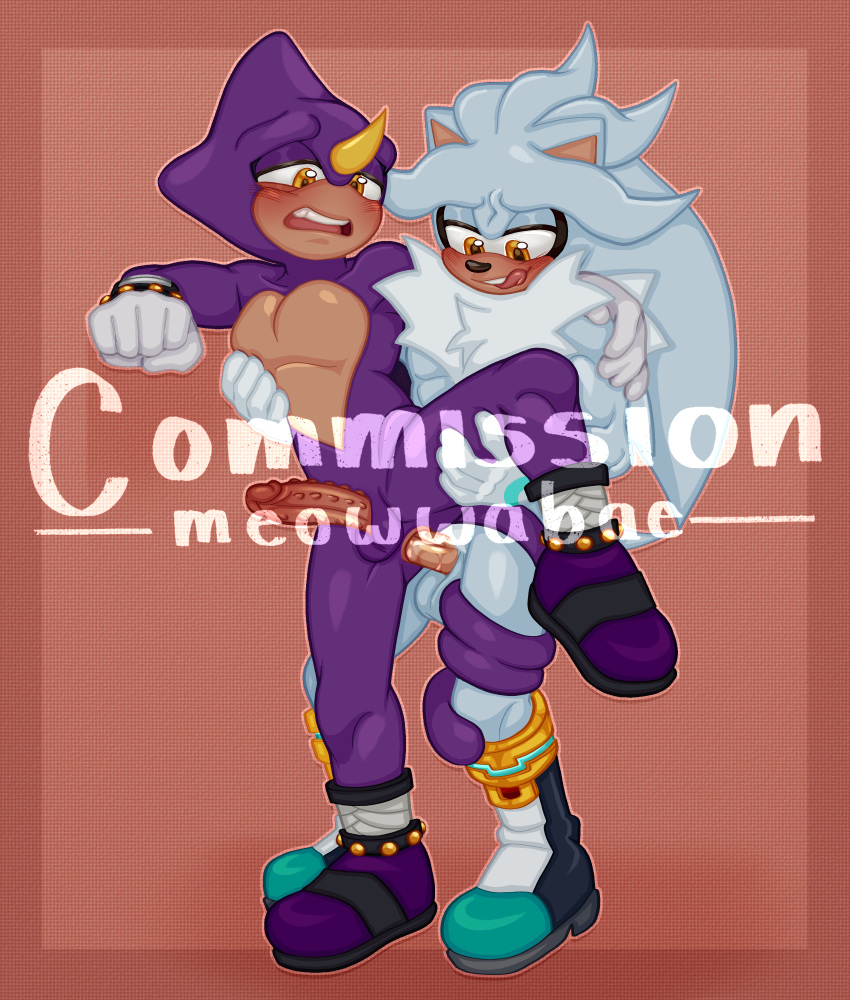 Espio The Chameleon (Sega) Rule 34 Image