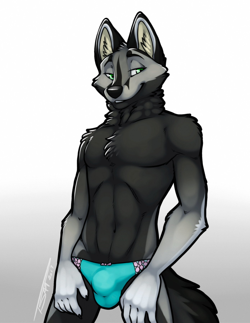 black_fur bulge canine clothed clothing crossdressing elsilentfox fox fur furry furry_only girly green_eyes grey_fox grey_fur male mammal no_humans panties pinup pose simple_background solo tsaiwolf twink underwear