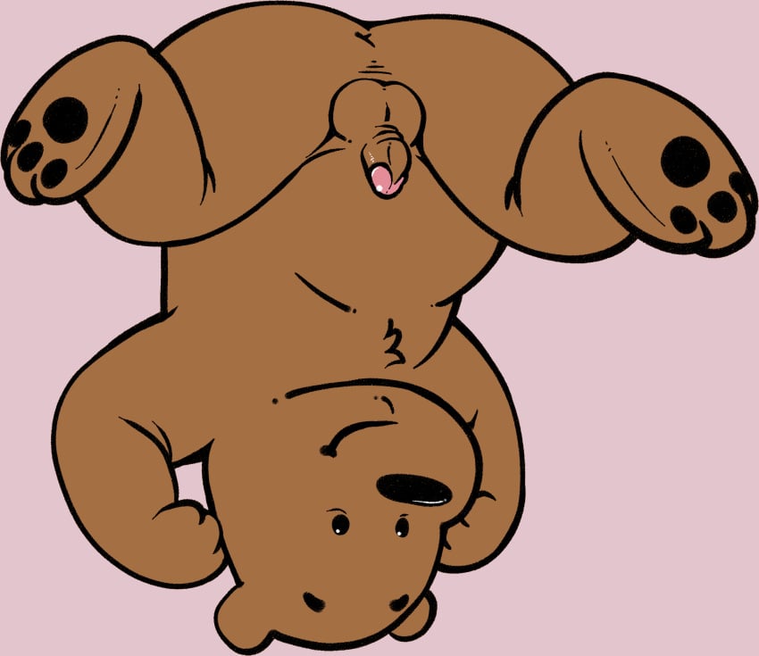 2019 anthro anus ass balls brown_body brown_fur cartoon_network fur grizzly_(wbb) humanoid_penis male male_only mammal neenya penis simple_background small_penis solo ursid we_bare_bears