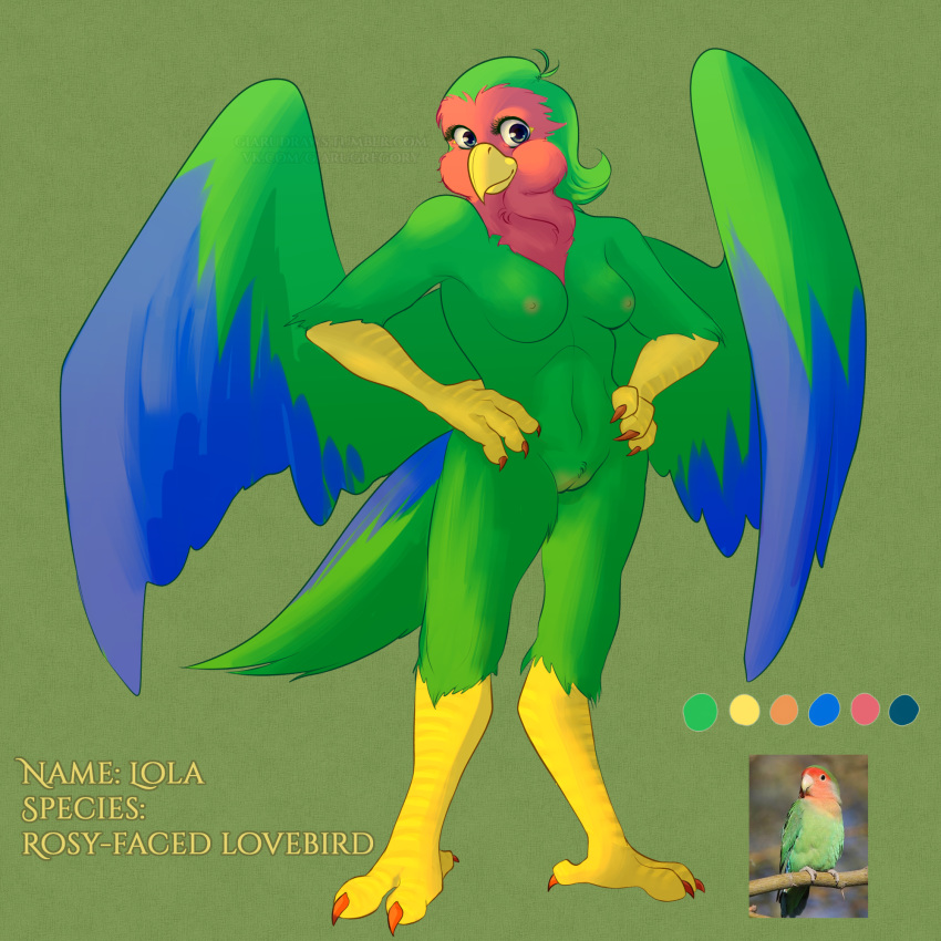 anthro avian bird breasts feathered_wings feathers featureless_breasts female giaru_(artist)_furaffinity looking_at_viewer model_sheet nude pussy smile solo standing wings