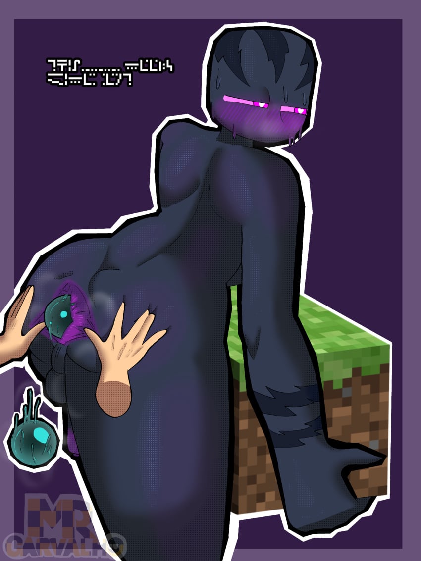 Enderman (Minecraft) Rule 34 Image