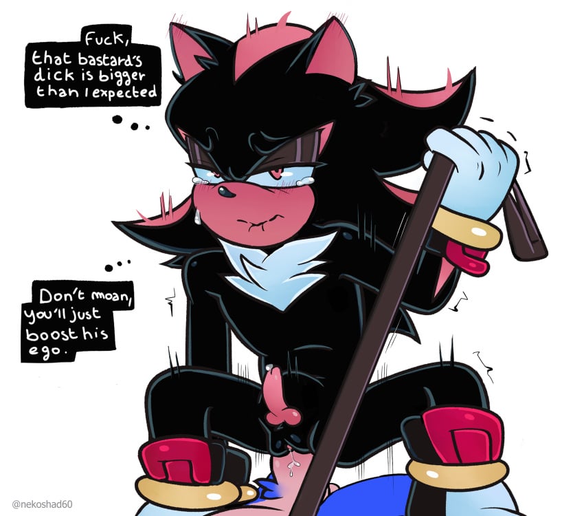 Sonic (Series) Rule 34 Image