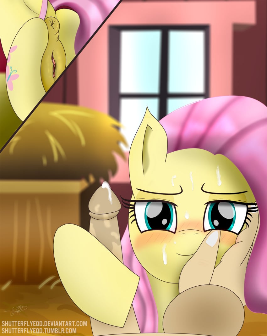 2016 anus ass barn blush cum cum_on_face cutie_mark disembodied_hand disembodied_penis duo equine erection female feral fluttershy_(mlp) friendship_is_magic fur green_eyes hair hay hi_res horse inside looking_at_viewer male mammal my_little_pony penis pink_hair pony pussy shutterflyeqd solo_focus window yellow_fur