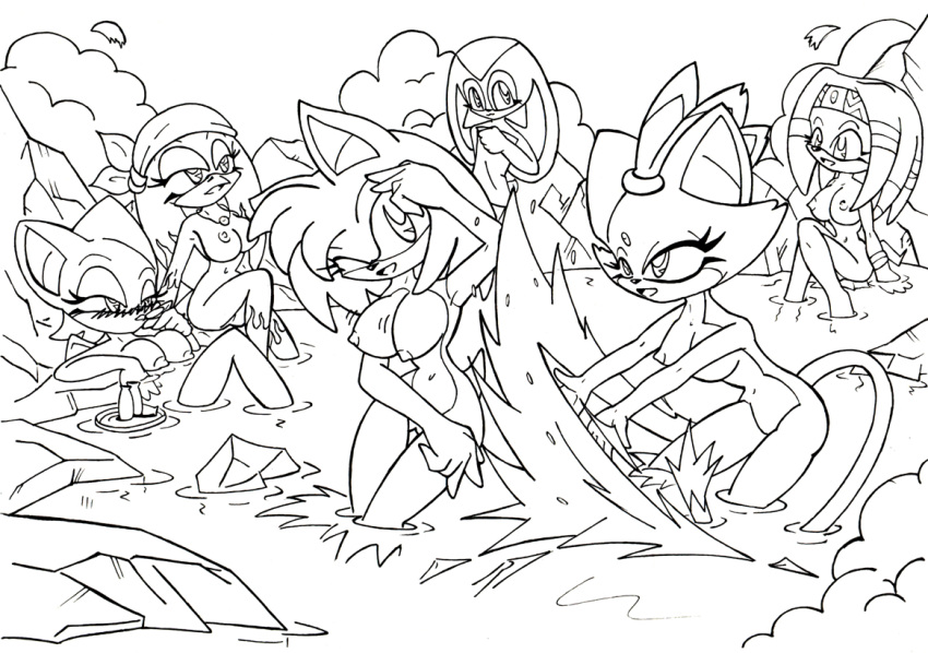 2d 6girls amy_rose anthro bat bird black_and_white blaze_the_cat breasts cream_the_rabbit echidna female female_only fur hedgehog interspecies line_art mammal mobian mobian_(species) mobian_bat monochrome monotreme multiple_females multiple_girls no_color nude rabbit rouge_the_bat sega sitting sonic_(series) sonic_adventure_2 sonic_riders sonic_the_hedgehog_(series) splash standing straight_hair swallow the_brave tikal_the_echidna wave_the_swallow