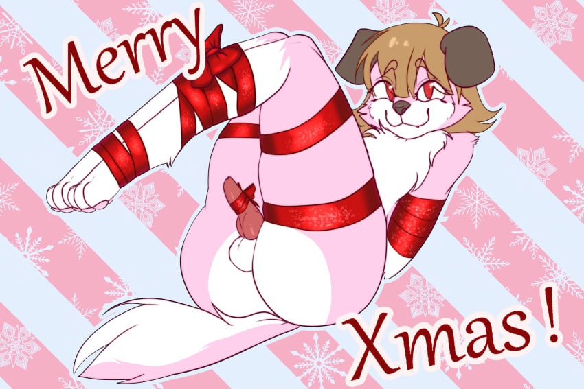 animal_genitalia animal_penis anthro arms_tied ass balls bondage bondage bound bow_ribbon brown_ears brown_hair canid canine canine_genitalia canine_penis canis chest_fur chest_tuft christmas domestic_dog femboy floppy_ears fur genitals hair happy hi_res holidays knot knotted_penis legs_tied legs_together looking_at_viewer male mammal muru_(pinkzawg) paul_0w0 pawpads paws penis pink_body pink_fur pink_pawpads red_eyes red_ribbon ribbon_bondage ribbons solo tail tuft white_body white_fur