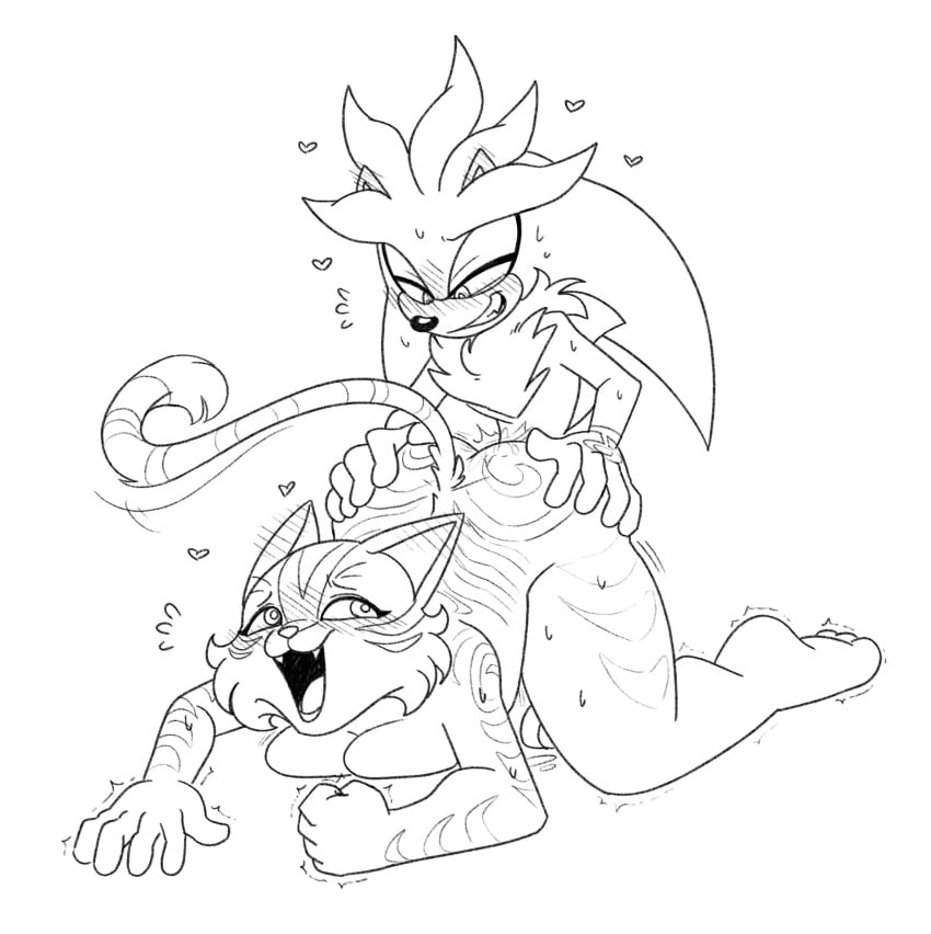 Silver The Hedgehog (Sega) Rule 34 Image