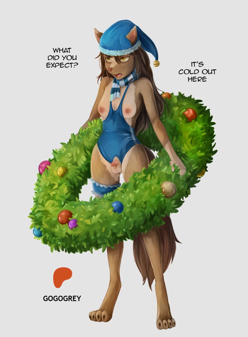 2024 anthro areola artist_name balls bell bell_hat black_claws black_toe_claws blue_clothing blue_hat blue_headwear blue_leotard blue_scarf breasts brown_body brown_ears brown_fur brown_hair brown_nose brown_tail canid canine canis christmas christmas_wreath claws clothing digital_media_(artwork) domestic_dog english_text fur genitals gogogrey gynomorph hair half-closed_eyes hat headgear headwear hi_res holding_object holidays intersex leotard long_hair mammal multicolored_body multicolored_fur multicolored_scarf narrowed_eyes nipples patreon patreon_logo penis pink_areola pink_nipples question_mark scarf small_balls small_breasts small_penis solo standing tail text three-quarter_view toe_claws tongue two_tone_body two_tone_fur two_tone_hat two_tone_scarf yellow_eyes