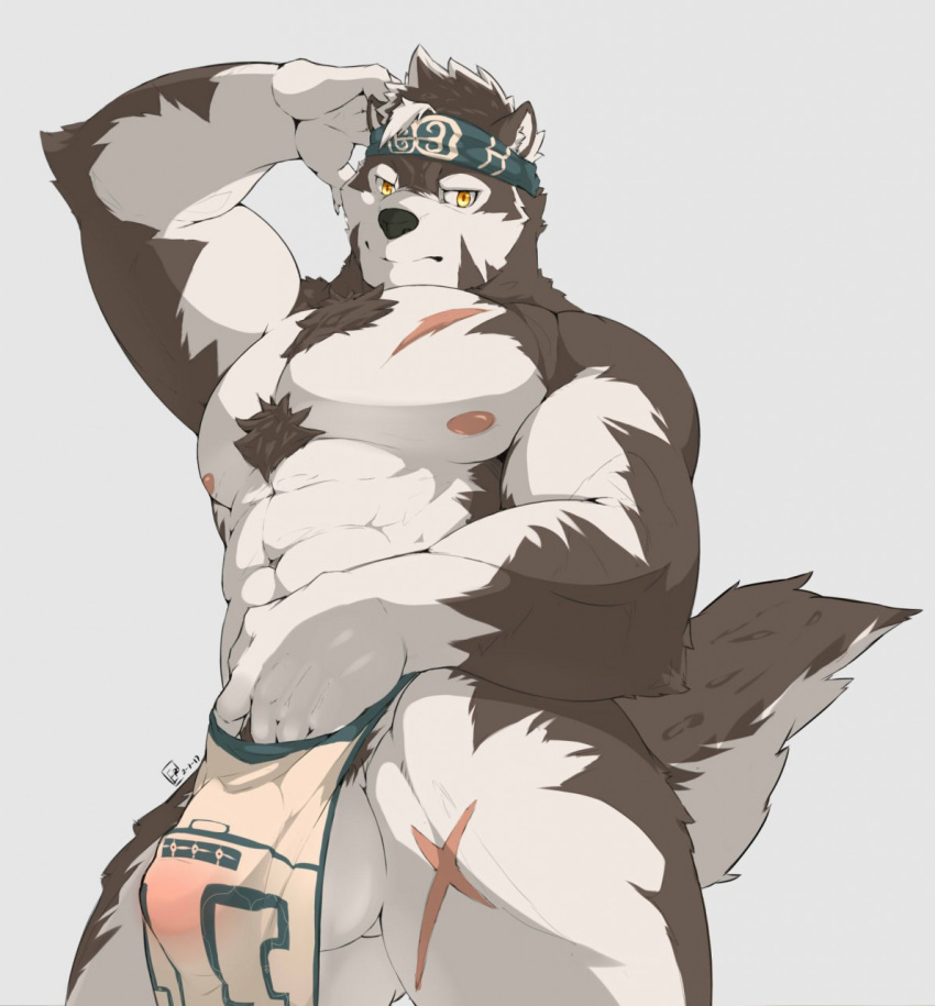 2017 5_fingers abs anthro balls biceps big_muscles black_nose body_hair bulge canine cheek_tuft chest_hair chest_tuft claws clothed clothing countershade_face countershade_tail countershade_torso essentialryu flaccid fluffy fluffy_tail fur grey_background grey_fur hair hi_res horkeukamui humanoid_hands humanoid_penis inner_ear_fluff loincloth looking_at_viewer male male_only mammal multicolored_fur multicolored_hair muscular nipples pecs penis penis_outline perineum pink_nipples pointy_ears pubes scar simple_background solo standing tokyo_afterschool_summoners topless tuft two_tone_fur two_tone_hair two_tone_tail white_balls white_claws white_countershading white_fur wolf yellow_eyes