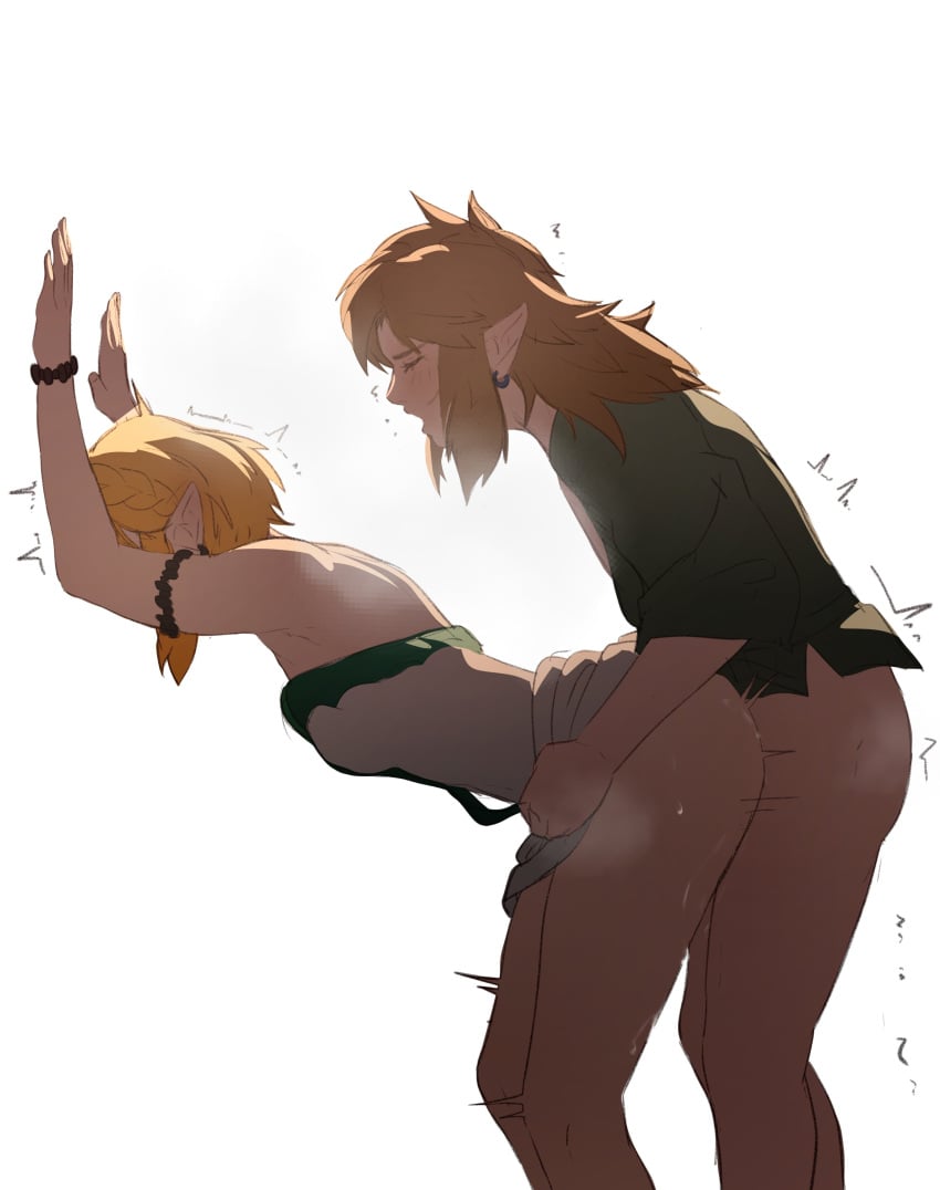 1boy 1girls female from_behind light-skinned_female light-skinned_male light_skin link male nintendo pomelomelon princess_zelda sex sex_from_behind tears_of_the_kingdom the_legend_of_zelda zelda_(tears_of_the_kingdom)