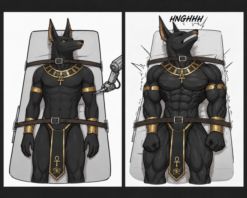 abs ai_generated anthro anubis athletic athletic_anthro athletic_male biceps bodybuilding bondage canid canine canis injection jackal loincloth male muscle_growth muscular muscular_anthro muscular_male navel nipples painful_transformation pecs sequence test_subject transformation