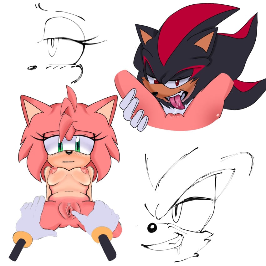 Amy Rose (Sega) Rule 34 Image