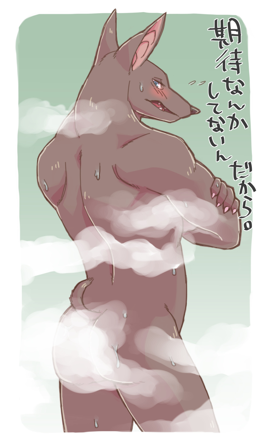 anubian_jackal ass blush canine jackal japanese_text league_of_legends looking_back male male_only mammal mist muscular nasus nude riot_games sunspotfish sweat text video_games