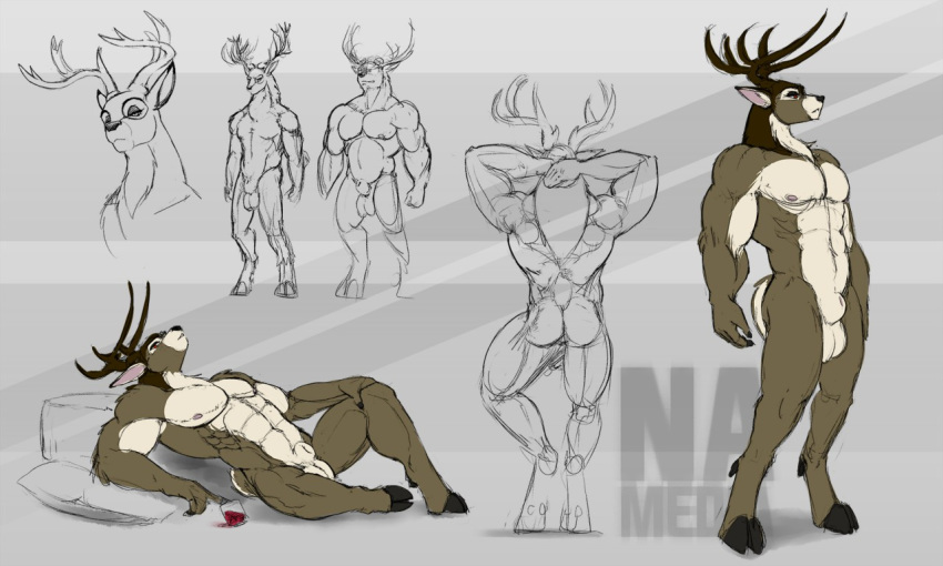 animal_genitalia anthro antlers avias_(artist) balls cervine deer fully_sheathed horn male male_only mammal muscular nude sheath sketch_page solo