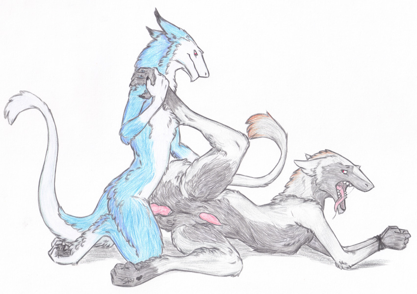 anal anal_sex anthro black_fur blue_fur bondage bound fur furry male penetration red_eyes rexhyuga sergal simple_background skyfifer white_background yaoi