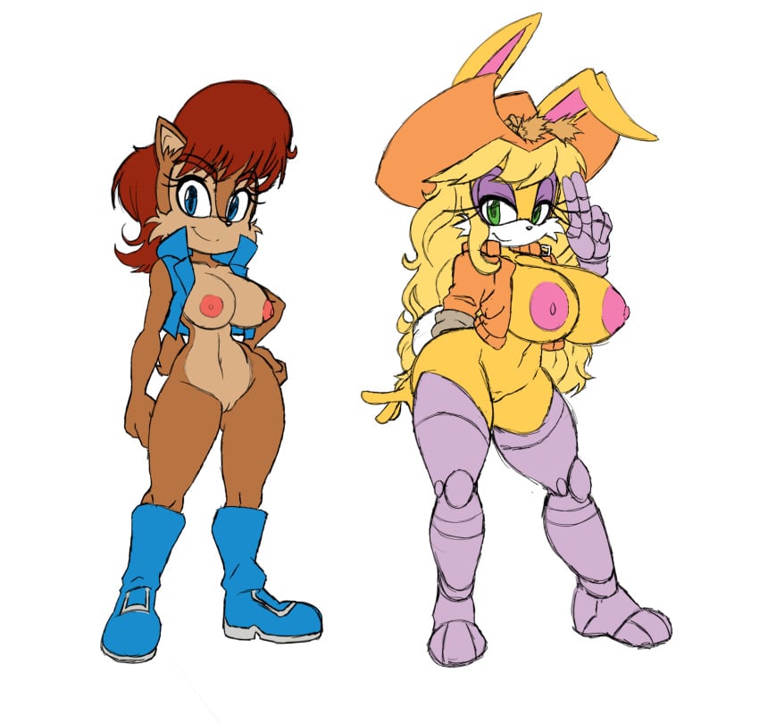 Sally Acorn (Sonic (Series)) Rule 34 Image