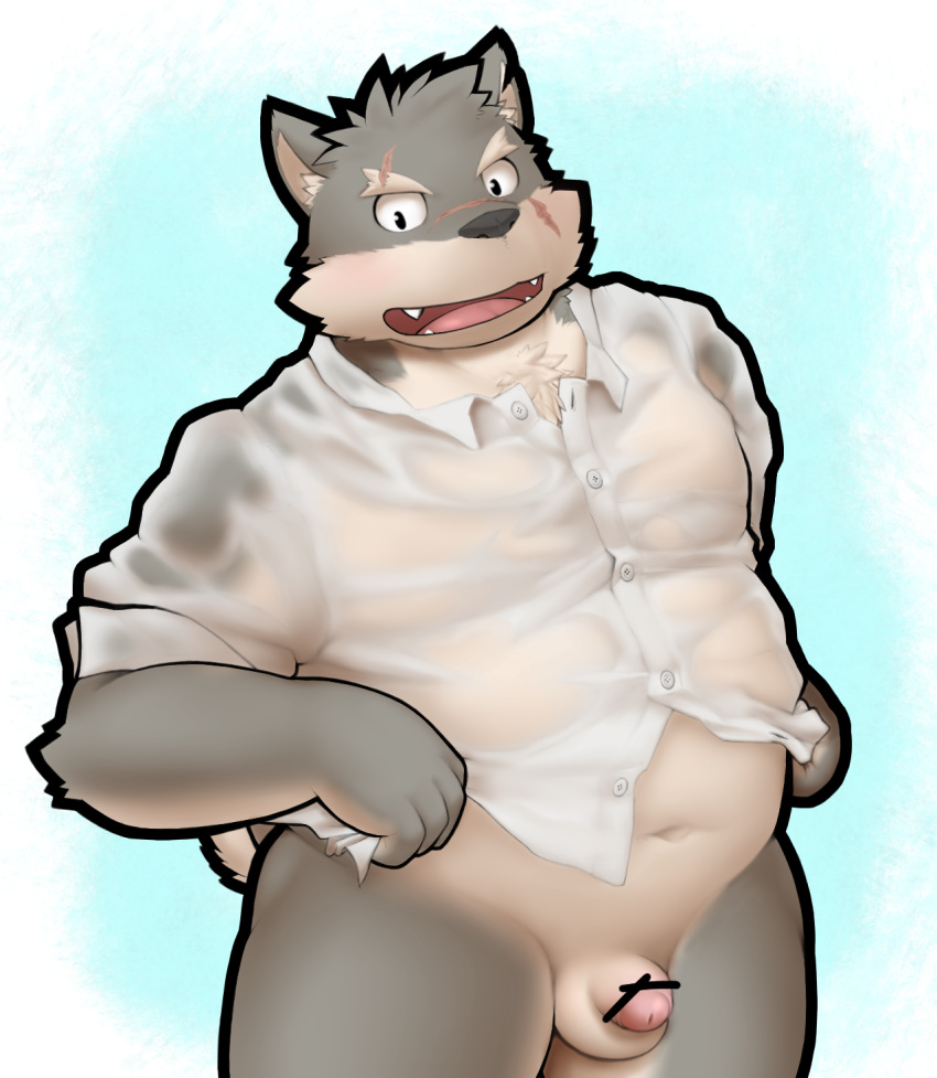 anthro canine furry male male_only mammal moritaka nazimi00 penis shirt simple_background slightly_chubby solo tokyo_afterschool_summoners wet wet_shirt