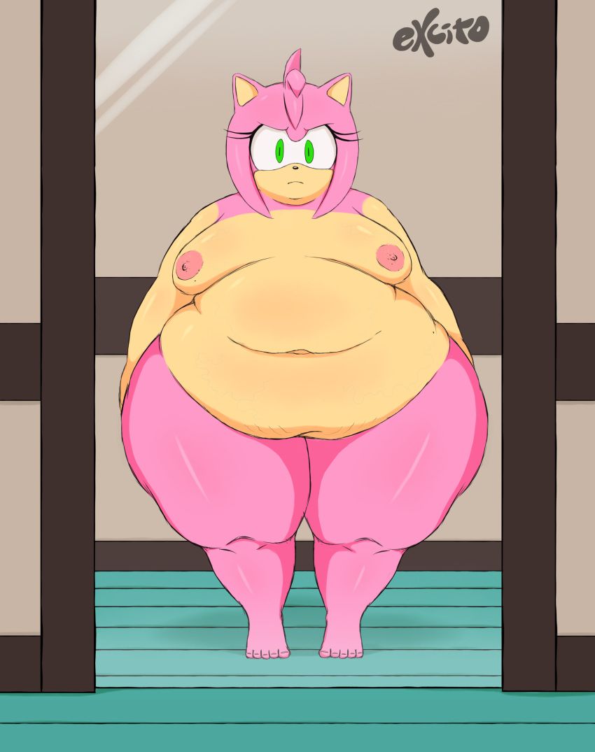 1girls amy_rose angry bbw breasts excito eyelashes fat fat_female female female_only green_eyes hedgehog mammal mirror morbidly_obese navel nude obese overweight pink_fur pink_spines sega solo sonic_(series) sonic_team video_games