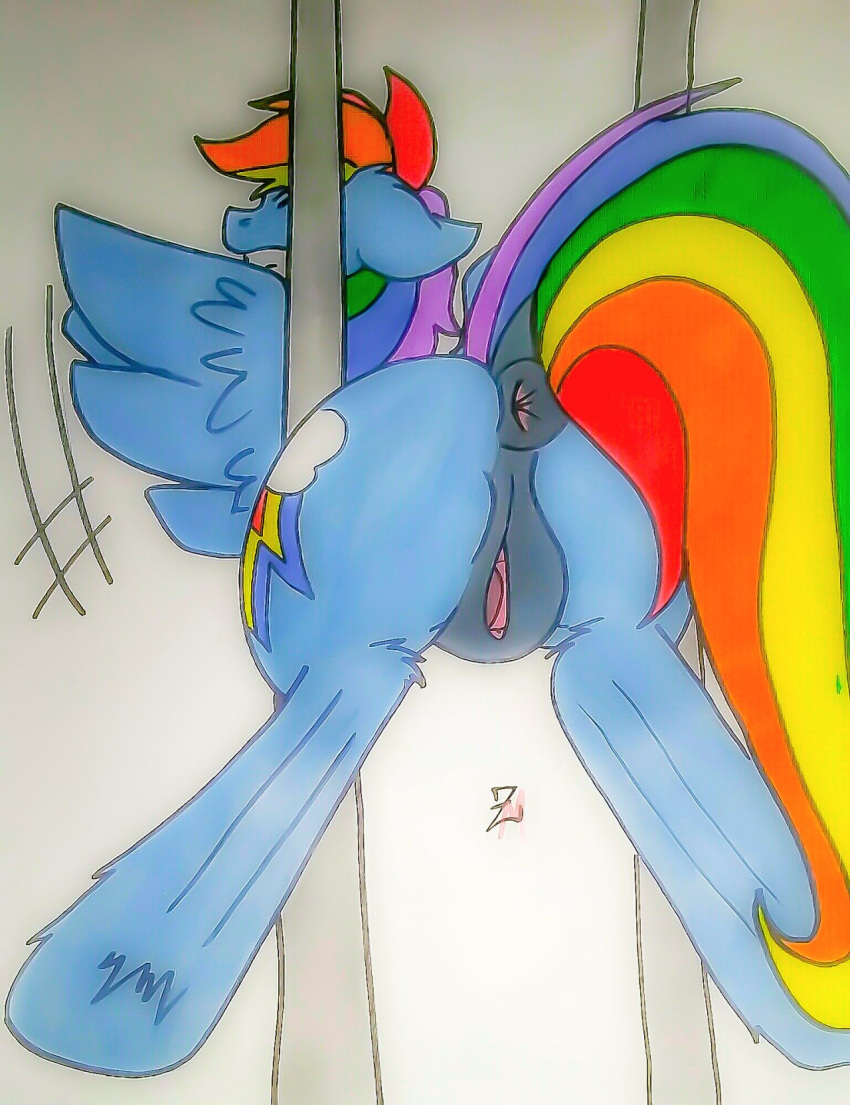 equine female friendship_is_magic my_little_pony pegasus pony rainbow_dash_(mlp) roxasnuggets13 stuck_in_object vagina