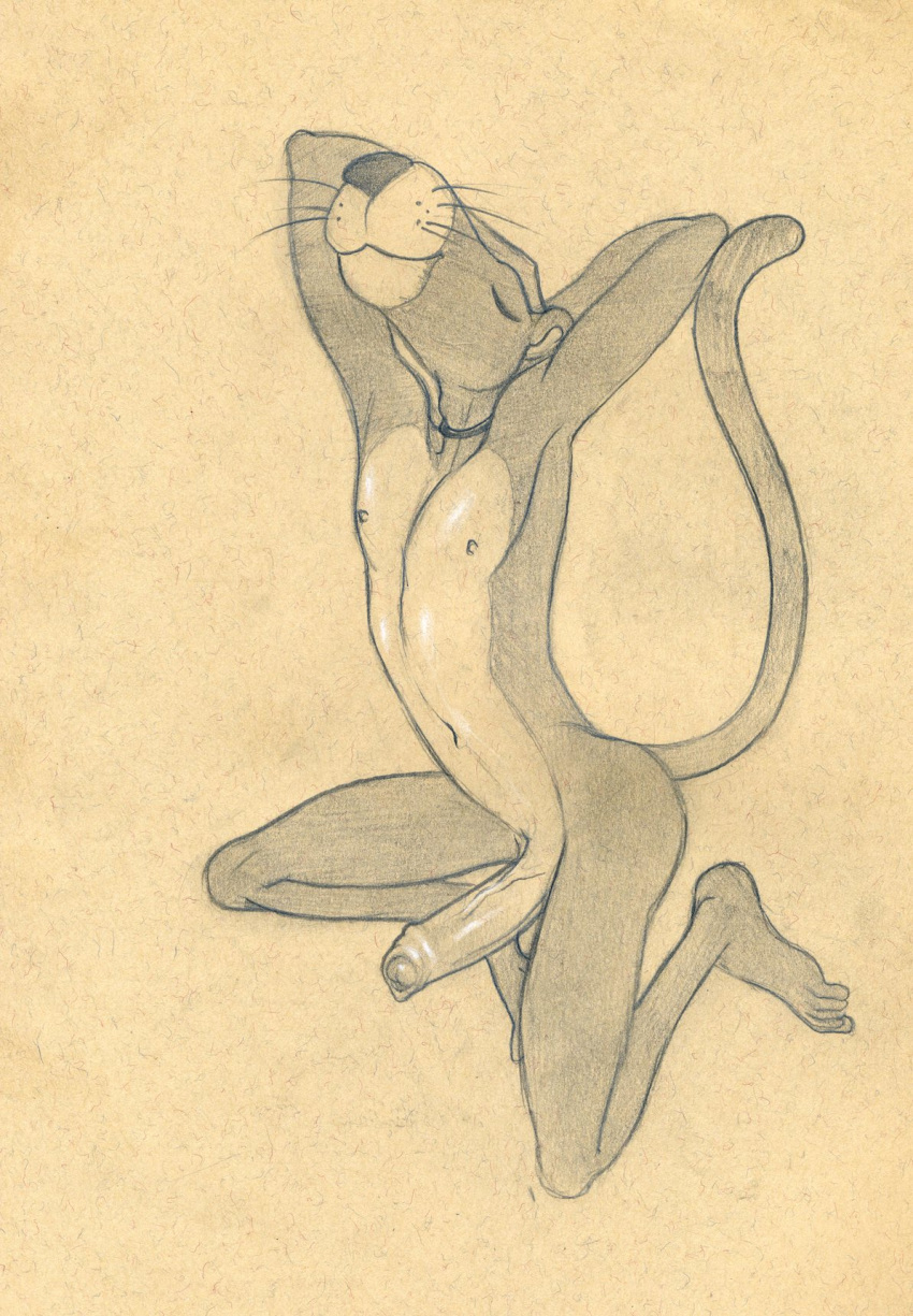 1boy anthro armpits balls barefoot choker closed_eyes erection feet feline humanoid_feet humanoid_penis kneeling male male_only mammal monochrome navel nipples nude panther pencil_(artwork) penis pink_panther pink_panther_(series) pinup plantigrade pose raised_arm slim solo traditional_media_(artwork) tush uncut vein veiny_penis whiskers