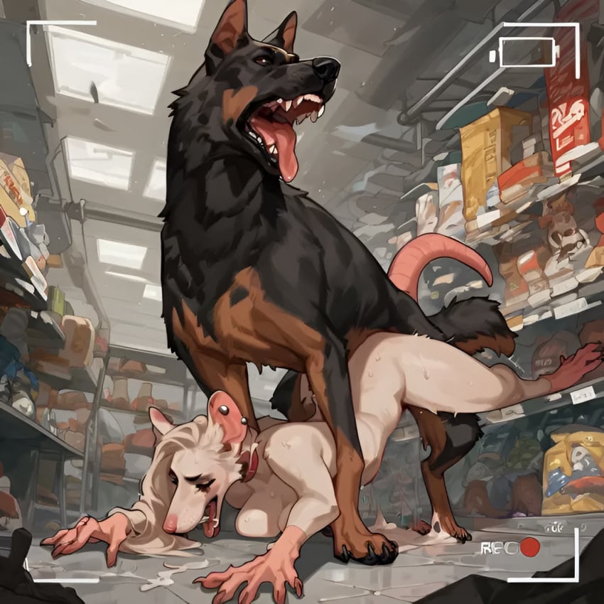 ai_generated canine cum_inside furry german_shepherd market on_floor rape rat sanyasralker shop tongue_out zoophilia