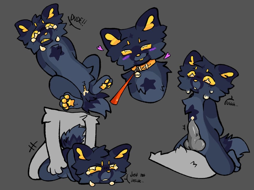 Quasar (Moonkitty03) Rule 34 Image