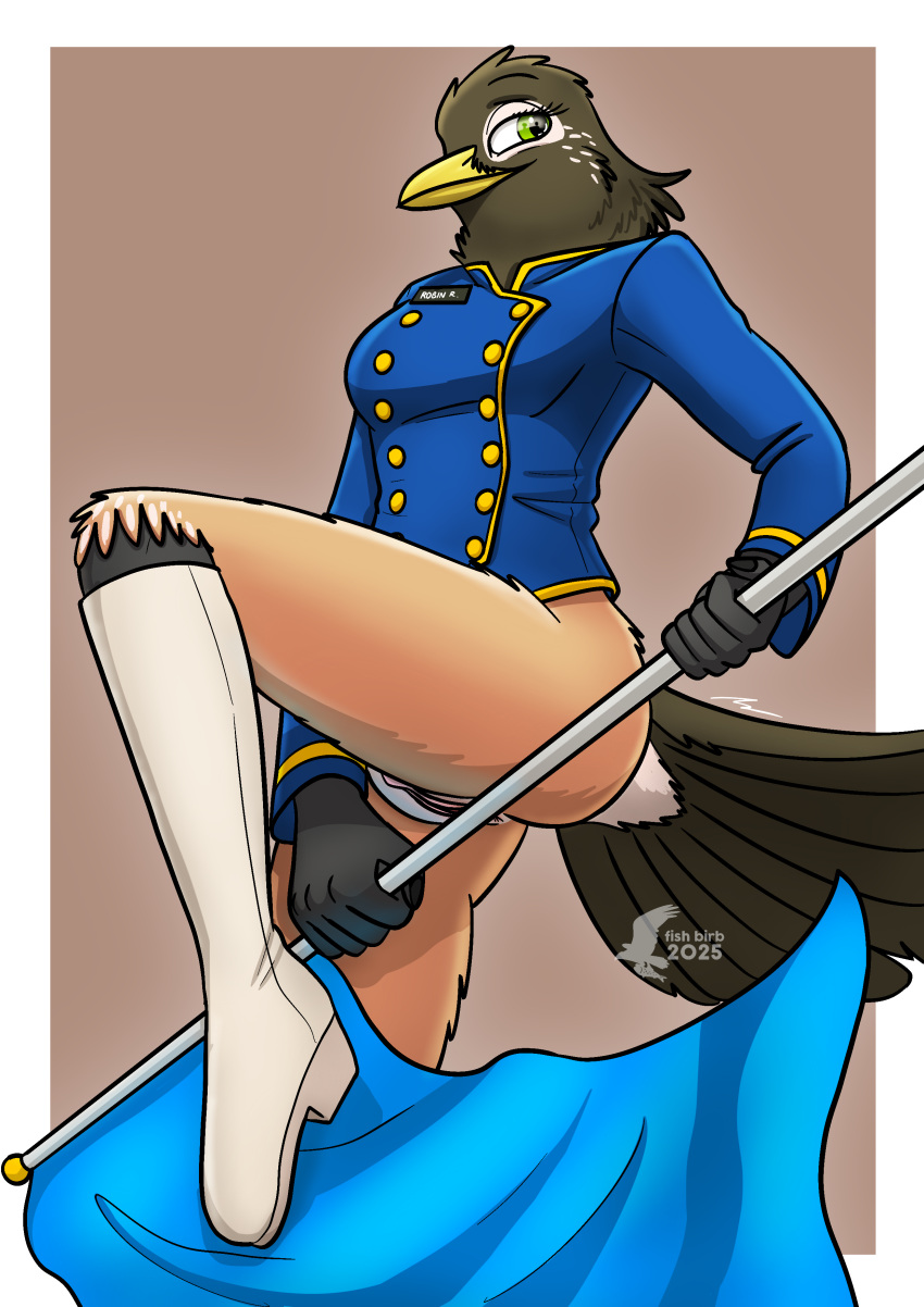 Flag (Object) Rule 34 Image
