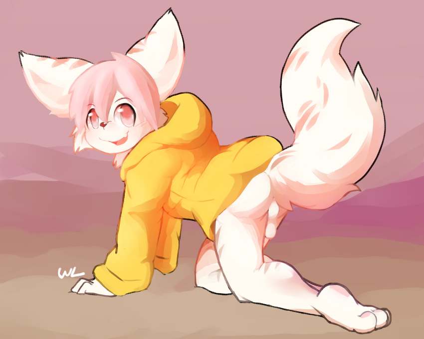 all_fours anthro backsack balls barefoot bottomless canine clothed clothing fennec fox hair hoodie looking_at_viewer male male_only mammal perineum pink_hair raised_tail smile solo whiteleo young