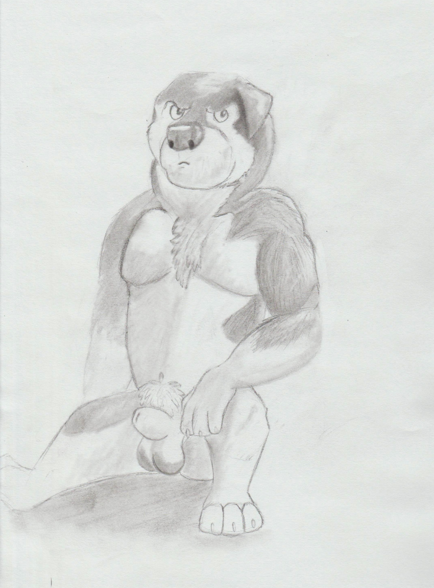 2017 3_toes 4_fingers absurd_res animal_genitalia anthro balls biceps canine chest_tuft floppy_ears fully_sheathed fur hi_res khampa male male_only mammal multicolored_fur muscular nude pecs pencil_(artwork) pubes rock_dog sheath simple_background sitting solo tibetan_mastiff toes traditional_media_(artwork) tuft two_tone_fur white_background