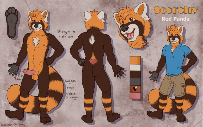 1boy 4_toes abstract_background balls brown_eyes brown_fur chest_tuft chewycuticle clothed clothing english_text fur humanoid_penis male male_only mammal model_sheet nude pawpads penis pink_penis red_panda ringed_tail scorchy solo text toes tuft