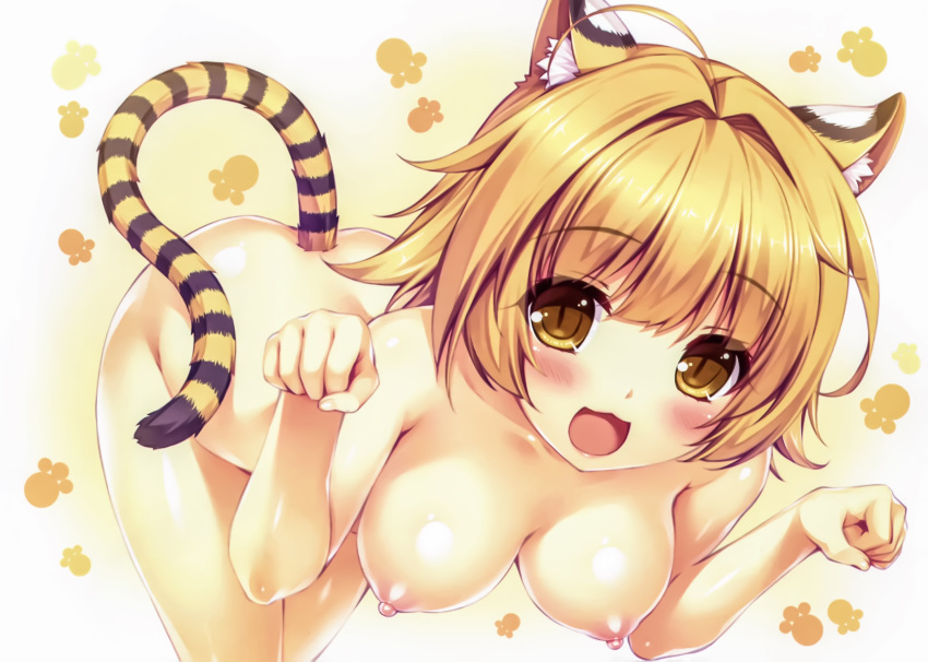 :3 ahoge animal_ears bent_over blonde_hair blush boku_to_koi_suru_ponkotsu_akuma. breasts female highres looking_at_viewer medium_breasts nipples nude open_mouth paw_pose paw_print sayori shibasaki_rin short_hair slit_pupils smile smile_(company) solo tail tiger_ears tiger_tail yellow_eyes