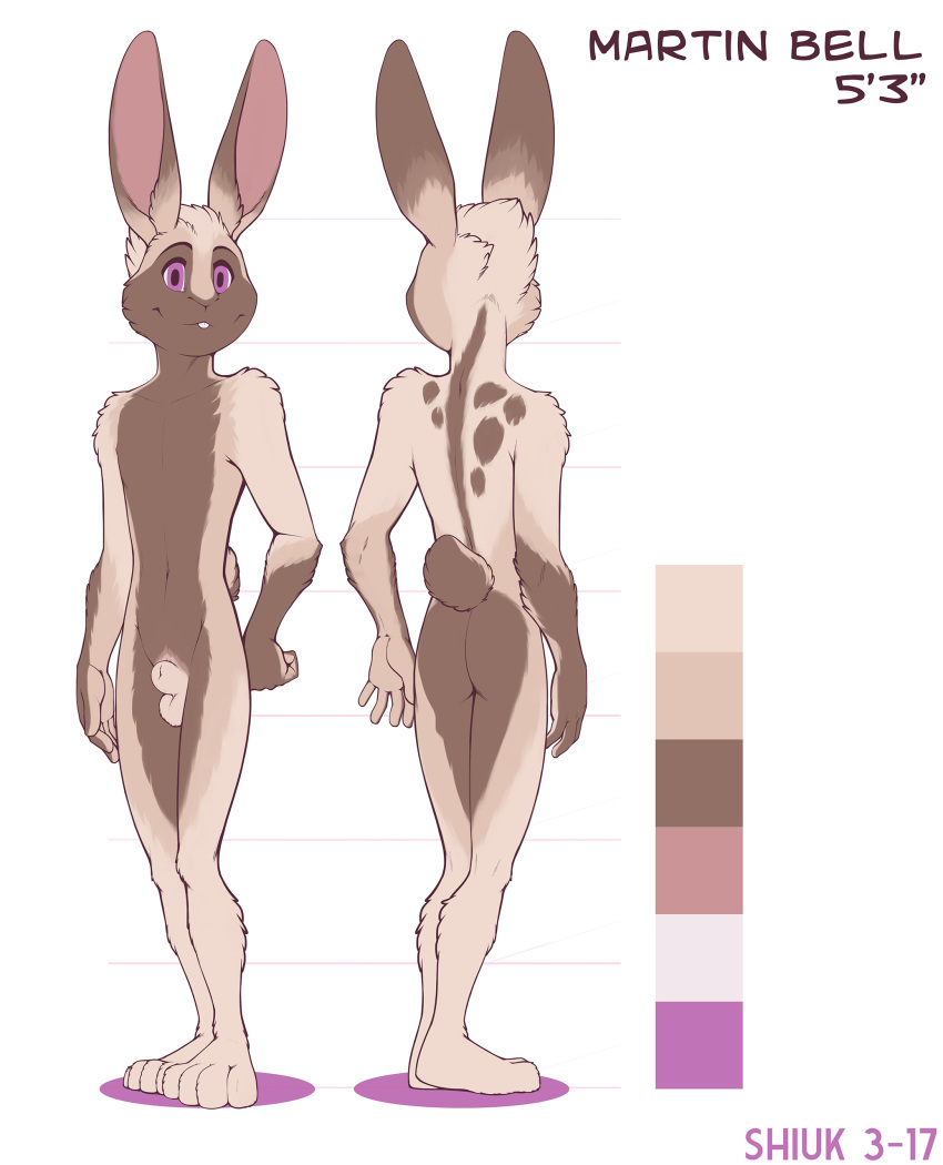 animal_genitalia anthro ass balls buckteeth color_swatch front_view fully_sheathed hand_on_hip lagomorph looking_at_viewer male mammal martin_bell model_sheet navel nude plantigrade rabbit rear_view sheath shiuk slim smile solo standing teeth young