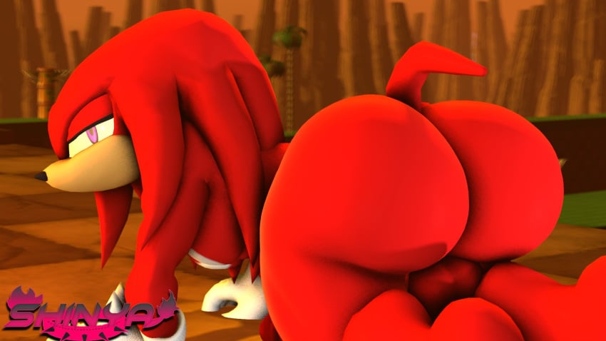 1boy ass backsack balls big_ass big_butt bubble_ass bubble_butt fat_ass fat_butt femboy huge_ass huge_butt knuckles_the_echidna large_ass large_butt male male_only shinyagaia solo solo_male sonic_(series) sonic_the_hedgehog_(series) thick_ass thick_butt