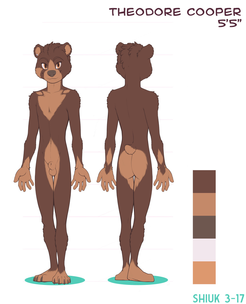 animal_genitalia anthro ass balls color_swatch front_view fully_sheathed looking_at_viewer male mammal model_sheet mustelid navel nude otter plantigrade rear_view sheath shiuk slim smile solo standing teenager theodore_cooper young