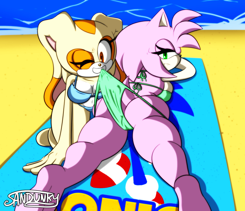 amy_rose anthro ass beach big_breasts bikini bikini_pull breasts cameltoe cleavage clothed clothing cream_the_rabbit duo female hedgehog hi_res kneeling lagomorph looking_back lying male mammal on_front on_towel one_eye_closed rabbit rear_view sand sandunky seaside smile sonic_(series) sonic_the_hedgehog sonic_the_hedgehog_(series) swimsuit teeth towel unimpressed water wide_hips