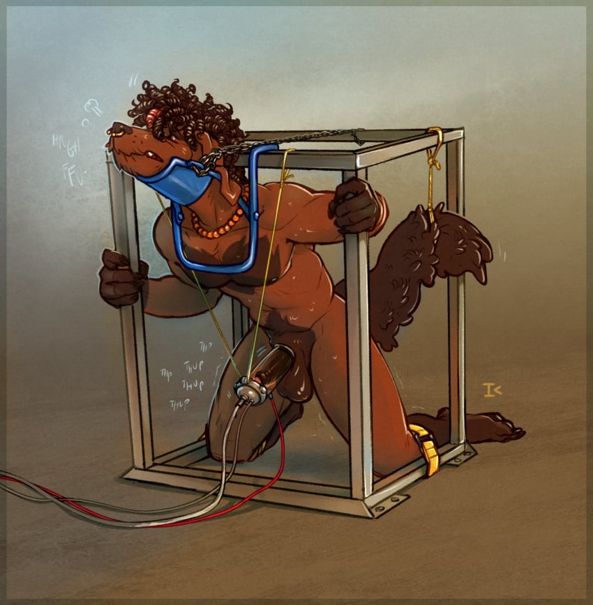 anthro balls blue_background bondage bondage bound brown_background brown_body brown_fur canid canine canis closed_eyes domestic_dog facial_piercing fur genitals hi_res humanoid_genitalia humanoid_penis interkos kneeling male mammal nipples nose_piercing nose_ring nude_anthro nude_male penile penis penis_milking penis_milking_machine piercing ring_piercing simple_background solo submissive submissive_anthro submissive_male