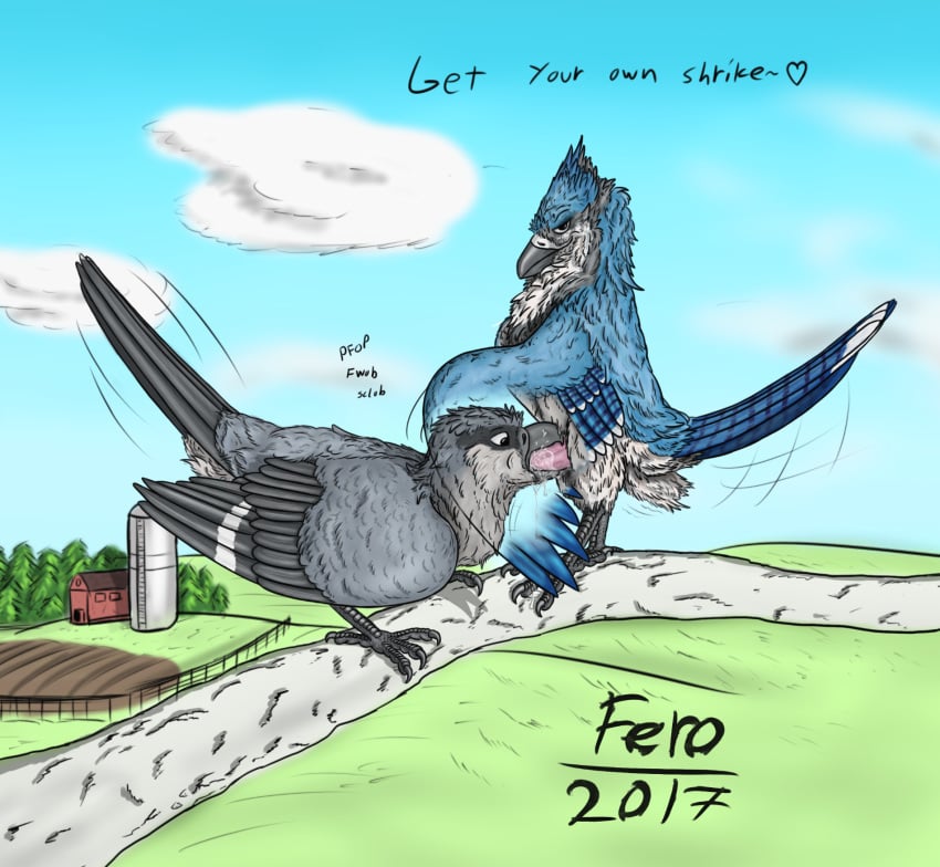 2017 3_toes avian beak beakjob bird black_eyes blue_feathers blue_jay claws corvid cum cum_in_beak cum_in_mouth cum_inside detailed_background dialogue duo english_text erection evan_(windpaw) farm feathers fellatio feral feral_on_feral ferobird grey_feathers heart highres in_tree looking_at_viewer male oral oral_penetration penetration penis sex shrike smile smirk sound_effects tail_feathers talons tapering_penis text timothy_(windpaw) toes uppmap123 wings yaoi