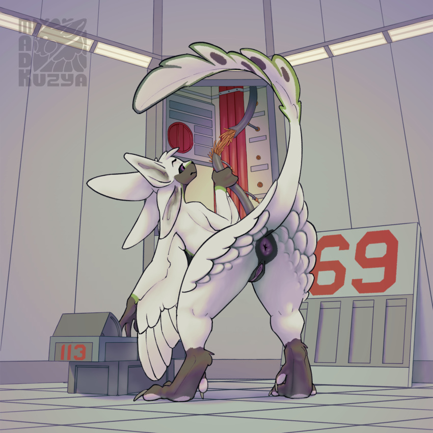 Avali Rule 34 Image