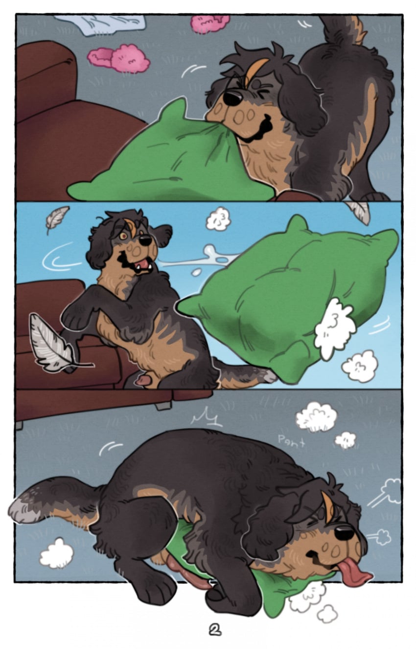 Korwin Rule 34 Image