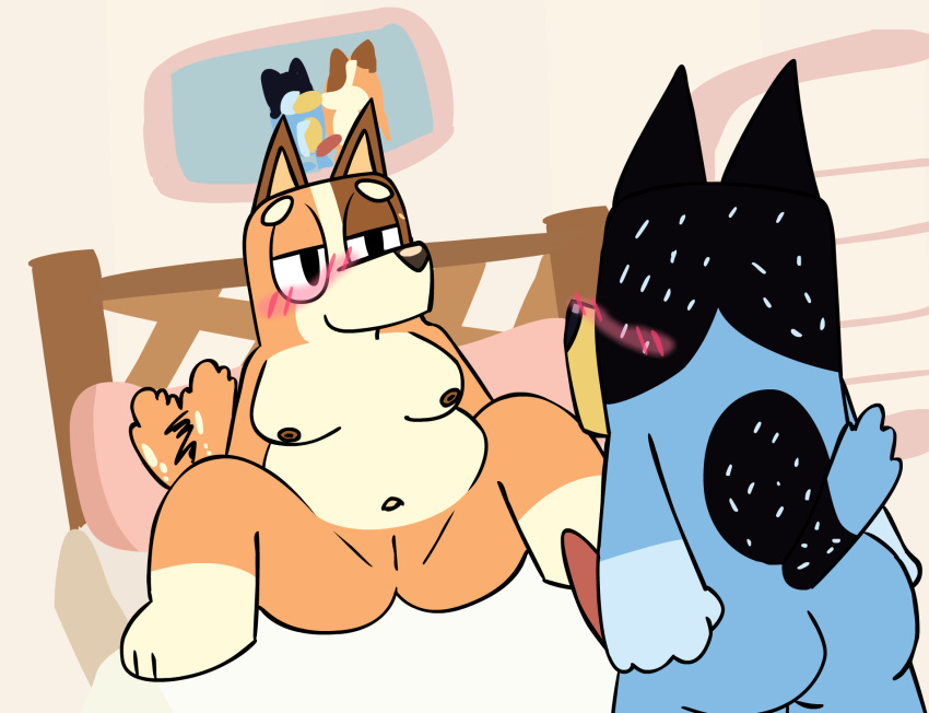 Bandit Heeler (Bluey (Series)) Rule 34 Image