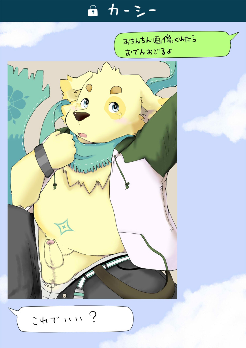 anthro balls camera_view canine clothed clothing cu_sith_(tokyo_afterschool_summoners) fur humanoid_penis japanese_text kogamaru male male_only mammal open_clothes open_mouth open_shirt overweight partially_retracted_foreskin penis scarf shirt solo tan_fur tears text tokyo_afterschool_summoners uncut