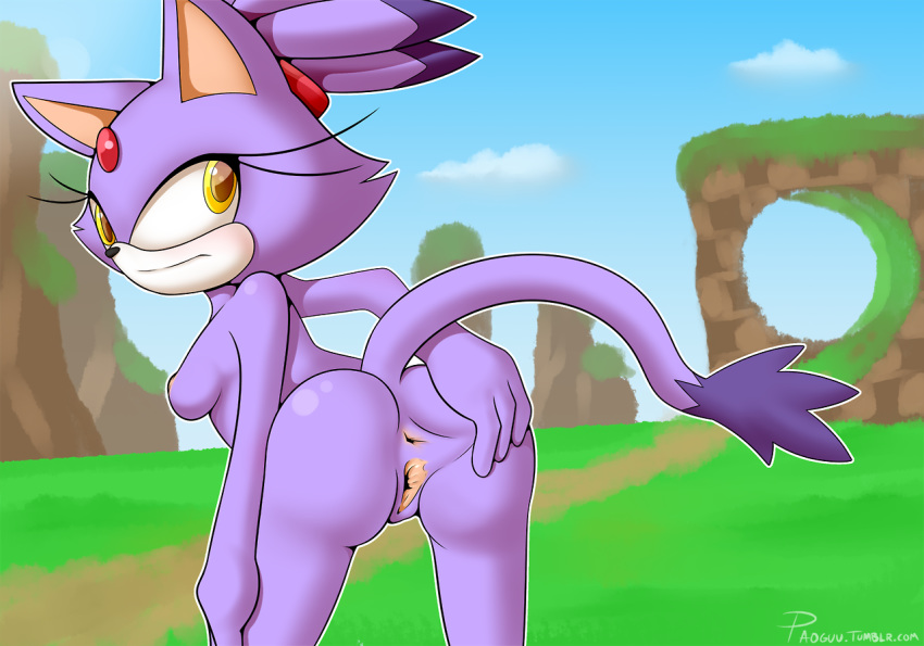 2017 amber_eyes anthro anus ass blaze_the_cat breasts felid feline felis female fur furry furry_only hand_on_ass hi_res long_eyelashes looking_at_viewer mammal naked nude paoguu presenting presenting_anus presenting_hindquarters presenting_pussy purple_fur pussy rear_view solo sonic_(series) spread_legs spreading stretched_anus stretching_pussy tail