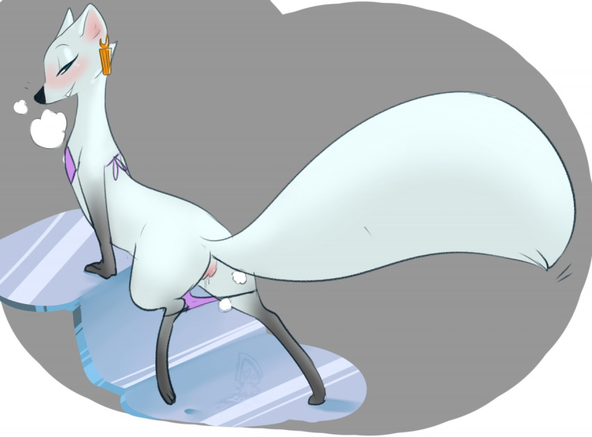 anthro arctic_fox arctic_fox_masseuse_(zootopia) ass bedroom_eyes bikini blush canine disney ear_piercing female flat_chest fox fur gloves_(marking) half-closed_eyes in_heat looking_at_viewer looking_back mammal mangoicy markings piercing presenting presenting_hindquarters pussy pussy_juice seductive socks_(marking) solo swimsuit white_fur zootopia