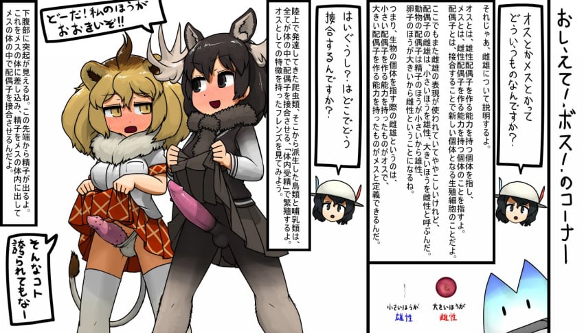 animal_ears antlers barbed_penis black_hair blonde_hair blush commentary full-face_blush fur_collar futanari hair_between_eyes intersex kaban kemono_friends lion_(kemono_friends) lion_ears lion_tail long_hair lucky_beast_(kemono_friends) moose_(kemono_friends) moose_ears multiple_girls ninniku_(ninnniku105) open_mouth penis pleated_skirt shirt short_hair short_sleeves skirt skirt_lift smile tail text translation_request